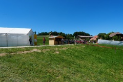 DSC00786