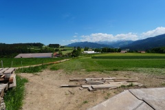 DSC00606
