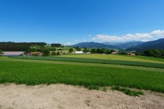DSC00618