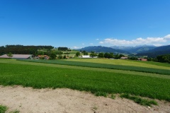 DSC00619