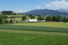 DSC00624