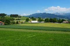 DSC00625