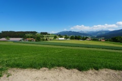 DSC00626