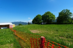 DSC00676